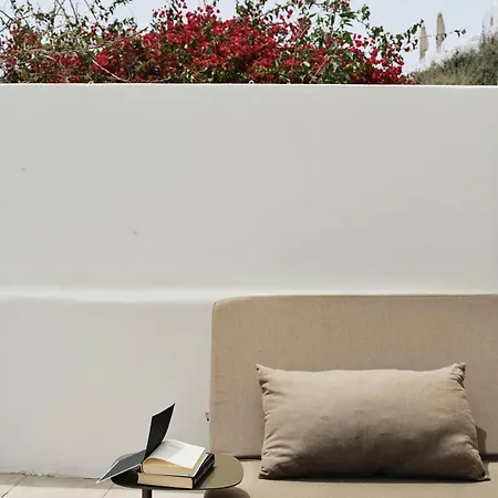Andronis Boutique (adults Only) Hotel Oia (Santorini)
